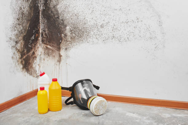 Best Mold Prevention Services  in Chino Hills, CA